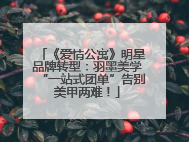 《爱情公寓》明星品牌转型：羽墨美学“一站式团单”告别美甲两难！
