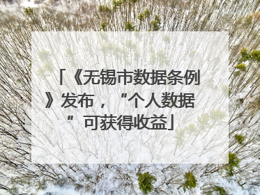 《无锡市数据条例》发布，“个人数据”可获得收益