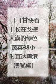 「甘快看」长在戈壁大漠的绿色蔬菜38小时直达粤港澳餐桌