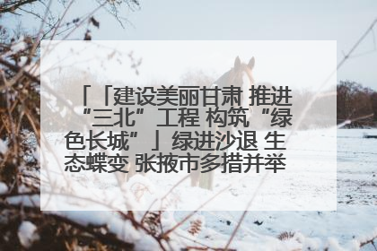 「建设美丽甘肃 推进“三北”工程 构筑“绿色长城”」绿进沙退 生态蝶变 张掖市多措并举加大防沙治沙力度