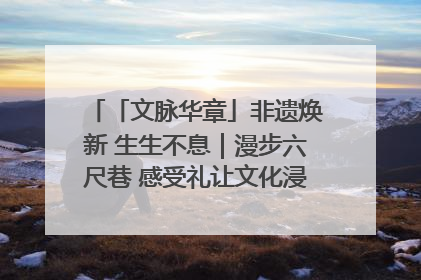 「文脉华章」非遗焕新 生生不息｜漫步六尺巷 感受礼让文化浸润的“巷”往生活