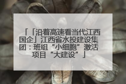 「沿着高速看当代江西国企」江西省水投建设集团：班组“小细胞”激活项目“大建设”