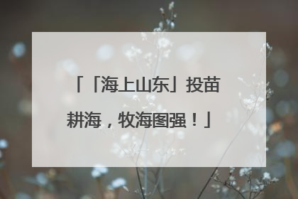 「海上山东」投苗耕海，牧海图强！