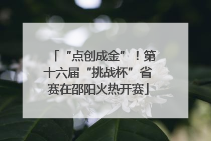 “点创成金”！第十六届“挑战杯”省赛在邵阳火热开赛