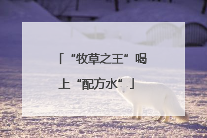 “牧草之王”喝上“配方水”