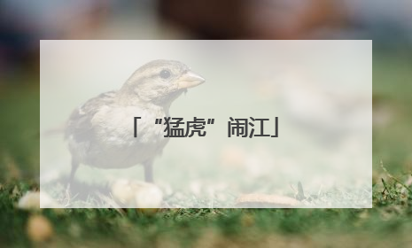 “猛虎”闹江