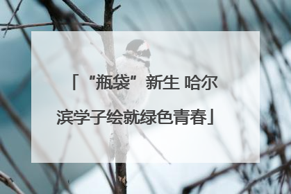 “瓶袋”新生 哈尔滨学子绘就绿色青春