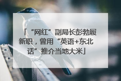 “网红”副局长彭勃履新职，曾用“英语+东北话”推介当地大米