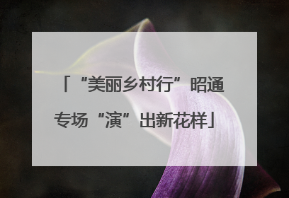 “美丽乡村行”昭通专场“演”出新花样