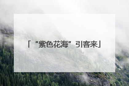 “紫色花海”引客来