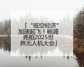 “低空经济”加速起飞！杨浦亮相2025世界无人机大会