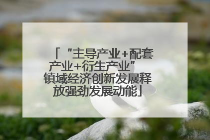 “主导产业+配套产业+衍生产业” 镇域经济创新发展释放强劲发展动能