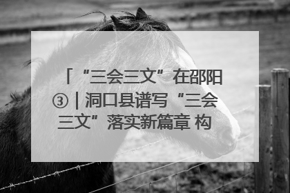 “三会三文”在邵阳③｜洞口县谱写“三会三文”落实新篇章 构建协同联动大格局