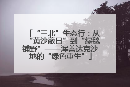 “三北”生态行：从“黄沙蔽日”到“绿毯铺野”——浑善达克沙地的“绿色重生”
