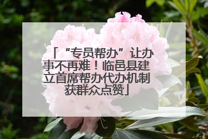 “专员帮办”让办事不再难！临邑县建立首席帮办代办机制获群众点赞