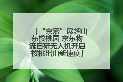 “京燕”展翅山东樱桃园 京东物流自研无人机开启樱桃出山新速度