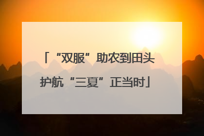 “双服”助农到田头 护航“三夏”正当时