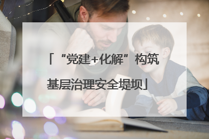 “党建+化解”构筑基层治理安全堤坝