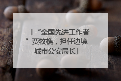 “全国先进工作者”贾牧樵，担任边境城市公安局长