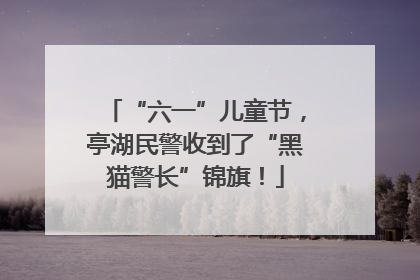 “六一”儿童节，亭湖民警收到了“黑猫警长”锦旗！