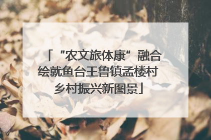 “农文旅体康”融合绘就鱼台王鲁镇孟楼村乡村振兴新图景