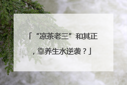 “凉茶老三”和其正，靠养生水逆袭？