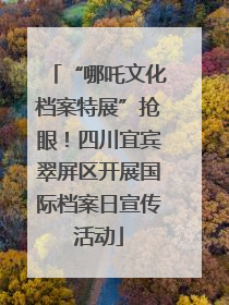 “哪吒文化档案特展”抢眼！四川宜宾翠屏区开展国际档案日宣传活动