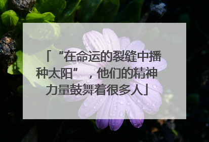 “在命运的裂缝中播种太阳”，他们的精神力量鼓舞着很多人