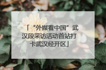 “外媒看中国”武汉段采访活动首站打卡武汉经开区