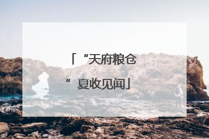 “天府粮仓”夏收见闻
