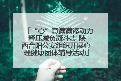 “心”意满满添动力 释压减负凝斗志 陕西合阳公安组织开展心理健康团体辅导活动