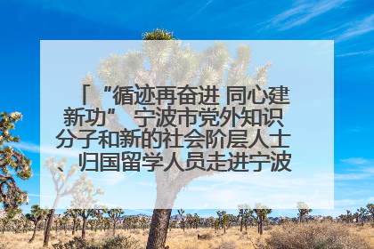 “循迹再奋进 同心建新功” 宁波市党外知识分子和新的社会阶层人士、归国留学人员走进宁波舟山港穿山港区