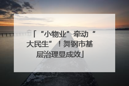 “小物业”牵动“大民生”！舞钢市基层治理显成效