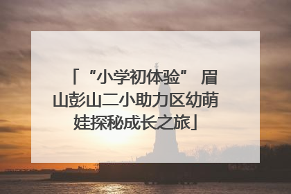 “小学初体验” 眉山彭山二小助力区幼萌娃探秘成长之旅