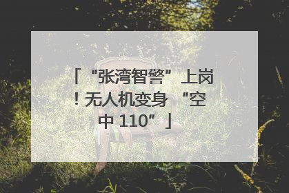 “张湾智警”上岗！无人机变身 “空中 110”