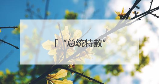 “总统特赦”要价多少美元