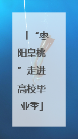 “枣阳皇桃”走进高校毕业季