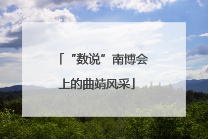 “数说”南博会上的曲靖风采