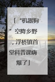 “机器狗”空降乡野，浮桥镇首堂科普课嗨爆了