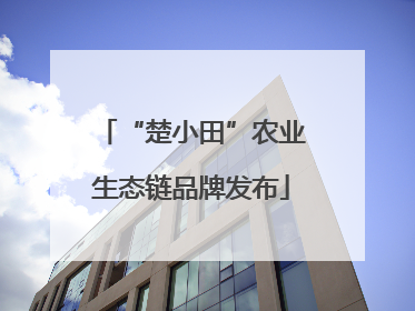 “楚小田”农业生态链品牌发布