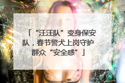 “汪汪队”变身保安队，春节警犬上岗守护群众“安全感”