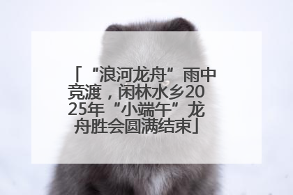 “浪河龙舟”雨中竞渡，闲林水乡2025年“小端午”龙舟胜会圆满结束
