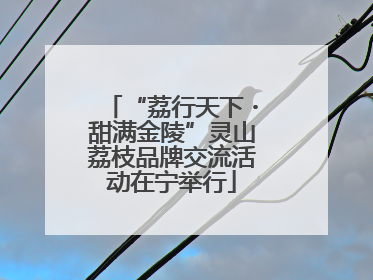 “荔行天下・甜满金陵”灵山荔枝品牌交流活动在宁举行