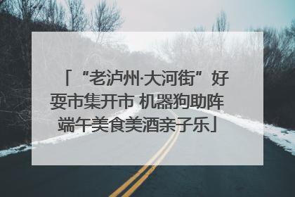 “老泸州·大河街”好耍市集开市 机器狗助阵端午美食美酒亲子乐