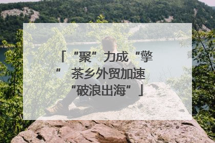 “聚”力成“擎” 茶乡外贸加速“破浪出海”