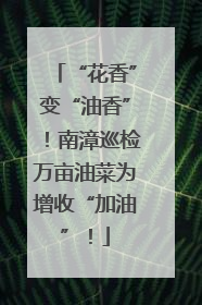 “花香”变“油香”！南漳巡检万亩油菜为增收“加油”！
