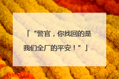 “警官，你找回的是我们全厂的平安！”