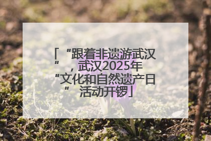 “跟着非遗游武汉”,武汉2025年“文化和自然遗产日” 活动开锣
