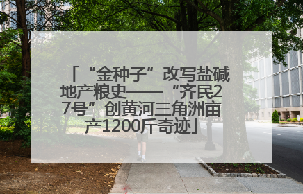 “金种子”改写盐碱地产粮史——“齐民27号”创黄河三角洲亩产1200斤奇迹