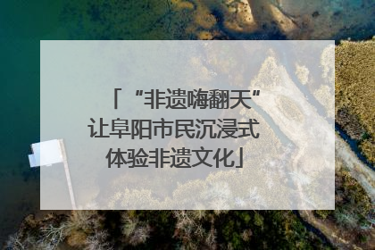 “非遗嗨翻天”让阜阳市民沉浸式体验非遗文化